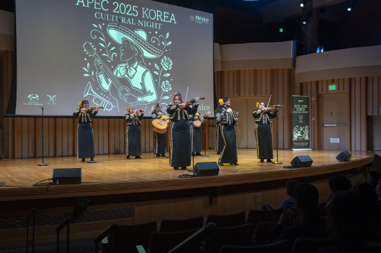apec문화의밤3